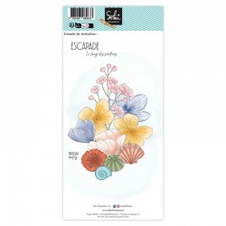 SOK-BDM-T3   SOKAÏ COLLECTION BORD DE MER TAMPONS CLEAR TRÉSORS IODÉS