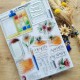 DUN117  CHOU & FLOWERS COLLECTION LE CHANT DES DUNES TAMPON CLEAR ÉCHAPÉES BELLES