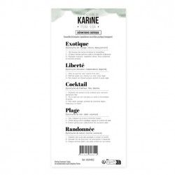 KAT4402   LES ATELIERS DE KARINE PURA VIDA TAMPON CLEAR DÉFINITIONS EXOTIQUE