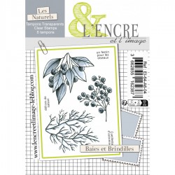 EI-64-A6-04   L'ENCRE ET L'IMAGE TAMPONS CLEAR BAIES ET BRINDILLES
