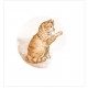 LORLUMABC   LORELAI DESIGN COLLECTION LUMIÈRE AMBRÉE BADGE CHAT