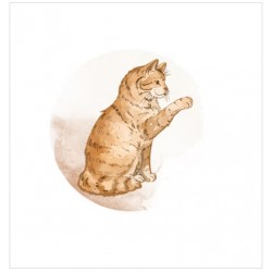 LORLUMABC   LORELAI DESIGN COLLECTION LUMIÈRE AMBRÉE BADGE CHAT