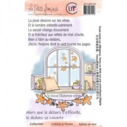 LPF-LANT-05   LA PETITE FRANÇAISE COLL. LANTERNES ET PHYSALIS TAMPONS CLEAR REFLETS DE MIEL