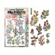 1526   AALL AND CREATE TAMPONS CLEAR 1526 BELLE NATURE