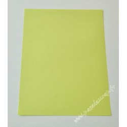 CARTE A4 VERT PASTEL