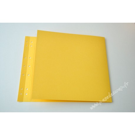 PAGE DOUBLE TOURNESOL