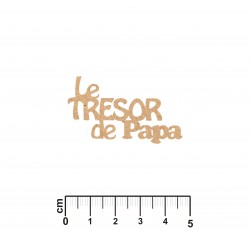 LE TRESOR DE PAPA