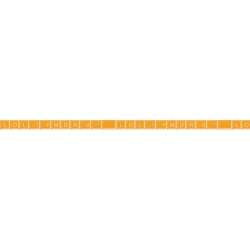 MT 10M*10MM KIDS CLAV