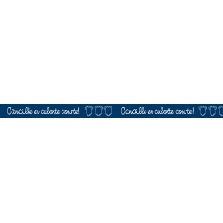 MT 10M*15MM CANAILLE